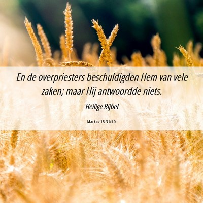 Picture 06 - Markus 15:3 NLD - En de overpriesters beschuldigden Hem van vele - Bible Verse Picture