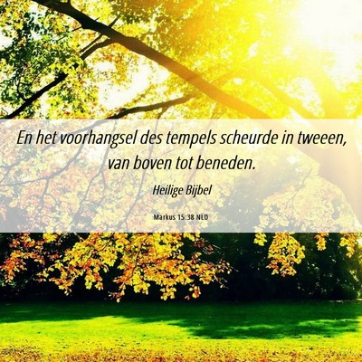 Picture 06 - Markus 15:38 NLD - En het voorhangsel des tempels scheurde in - Bible Verse Picture