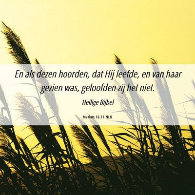 Picture 06 - Markus 16:11 NLD - En als dezen hoorden, dat Hij leefde, en van haar - Bible Verse Picture