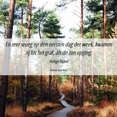 Picture 06 - Markus 16:2 NLD - En zeer vroeg op den eersten dag der week, kwamen - Bible Verse Picture