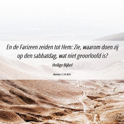 Picture 06 - Markus 2:24 NLD - En de Farizeen zeiden tot Hem: Zie, waarom doen - Bible Verse Picture