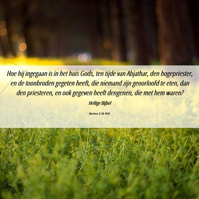 Picture 06 - Markus 2:26 NLD - Hoe hij ingegaan is in het huis Gods, ten tijde - Bible Verse Picture