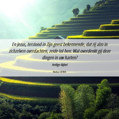 Picture 06 - Markus 2:8 NLD - En Jezus, terstond in Zijn geest bekennende, dat - Bible Verse Picture