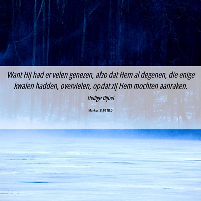 Picture 06 - Markus 3:10 NLD - Want Hij had er velen genezen, alzo dat Hem al - Bible Verse Picture