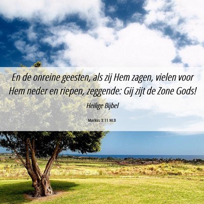 Picture 06 - Markus 3:11 NLD - En de onreine geesten, als zij Hem zagen, vielen - Bible Verse Picture