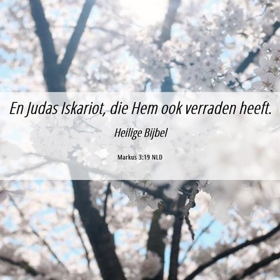Picture 06 - Markus 3:19 NLD - En Judas Iskariot, die Hem ook verraden - Bible Verse Picture