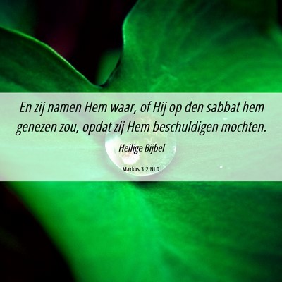 Picture 06 - Markus 3:2 NLD - En zij namen Hem waar, of Hij op den sabbat hem - Bible Verse Picture