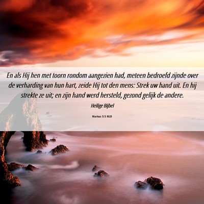 Picture 06 - Markus 3:5 NLD - En als Hij hen met toorn rondom aangezien had, - Bible Verse Picture