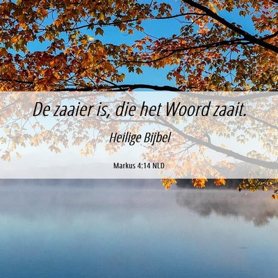 Picture 06 - Markus 4:14 NLD - De zaaier is, die het Woord - Bible Verse Picture