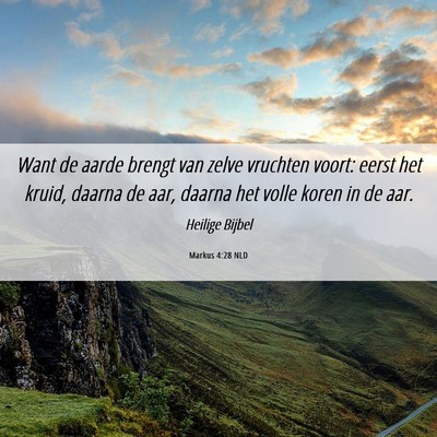 Picture 06 - Markus 4:28 NLD - Want de aarde brengt van zelve vruchten voort: - Bible Verse Picture