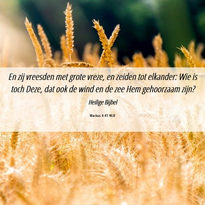 Picture 06 - Markus 4:41 NLD - En zij vreesden met grote vreze, en zeiden tot - Bible Verse Picture