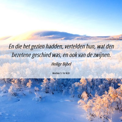 Picture 06 - Markus 5:16 NLD - En die het gezien hadden, vertelden hun, wat den - Bible Verse Picture