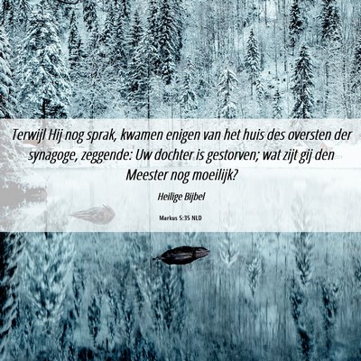 Picture 06 - Markus 5:35 NLD - Terwijl Hij nog sprak, kwamen enigen van het huis - Bible Verse Picture