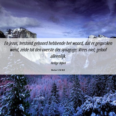 Picture 06 - Markus 5:36 NLD - En Jezus, terstond gehoord hebbende het woord, - Bible Verse Picture
