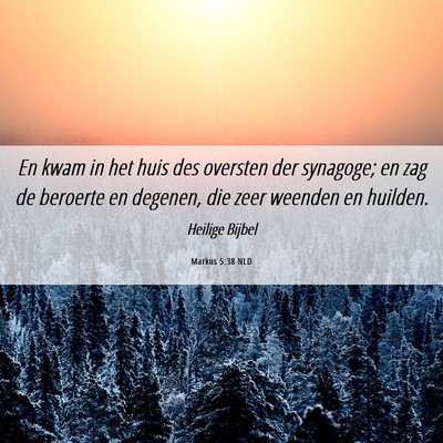 Picture 06 - Markus 5:38 NLD - En kwam in het huis des oversten der synagoge; en - Bible Verse Picture