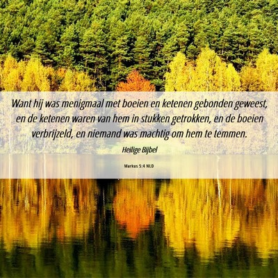 Picture 06 - Markus 5:4 NLD - Want hij was menigmaal met boeien en ketenen - Bible Verse Picture