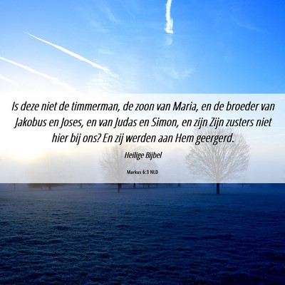 Picture 06 - Markus 6:3 NLD - Is deze niet de timmerman, de zoon van Maria, en - Bible Verse Picture