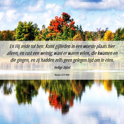Picture 06 - Markus 6:31 NLD - En Hij zeide tot hen: Komt gijlieden in een - Bible Verse Picture