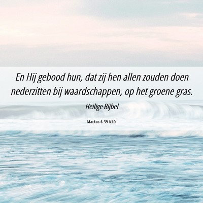 Picture 06 - Markus 6:39 NLD - En Hij gebood hun, dat zij hen allen zouden doen - Bible Verse Picture