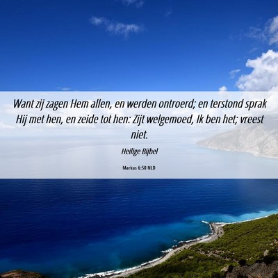 Picture 06 - Markus 6:50 NLD - Want zij zagen Hem allen, en werden ontroerd; en - Bible Verse Picture