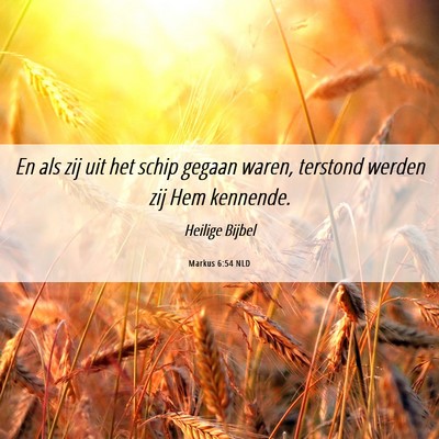 Picture 06 - Markus 6:54 NLD - En als zij uit het schip gegaan waren, terstond - Bible Verse Picture