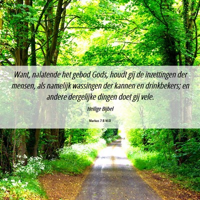 Picture 06 - Markus 7:8 NLD - Want, nalatende het gebod Gods, houdt gij de - Bible Verse Picture