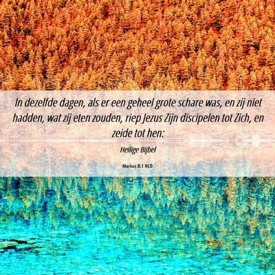 Picture 06 - Markus 8:1 NLD - In dezelfde dagen, als er een geheel grote schare - Bible Verse Picture