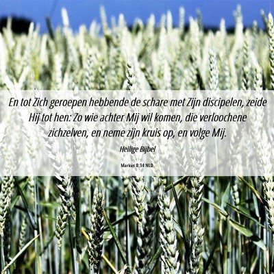 Picture 06 - Markus 8:34 NLD - En tot Zich geroepen hebbende de schare met Zijn - Bible Verse Picture