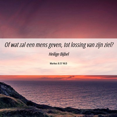 Picture 06 - Markus 8:37 NLD - Of wat zal een mens geven, tot lossing van zijn - Bible Verse Picture