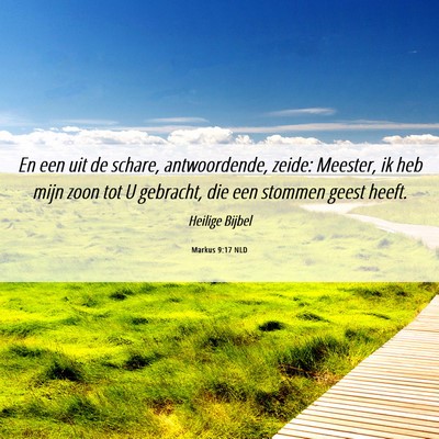 Picture 06 - Markus 9:17 NLD - En een uit de schare, antwoordende, zeide: - Bible Verse Picture