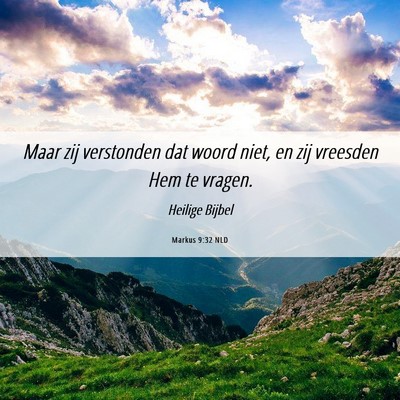 Picture 06 - Markus 9:32 NLD - Maar zij verstonden dat woord niet, en zij - Bible Verse Picture