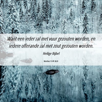 Picture 06 - Markus 9:49 NLD - Want een ieder zal met vuur gezouten worden, en - Bible Verse Picture