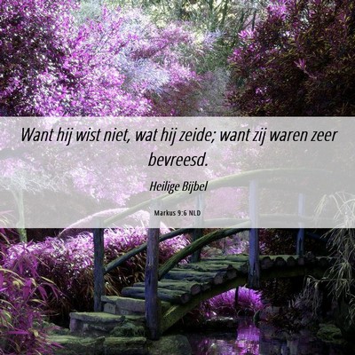 Picture 06 - Markus 9:6 NLD - Want hij wist niet, wat hij zeide; want zij waren - Bible Verse Picture