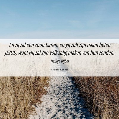 Picture 06 - Mattheüs 1:21 NLD - En zij zal een Zoon baren, en gij zult Zijn naam - Bible Verse Picture