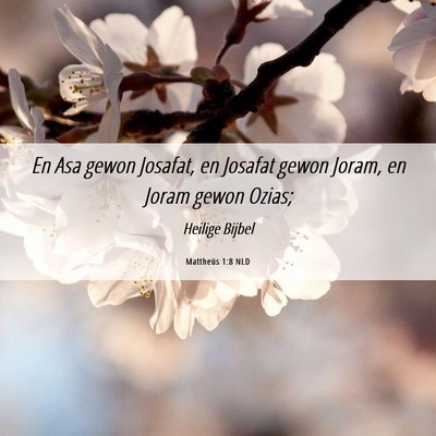 Picture 06 - Mattheüs 1:8 NLD - En Asa gewon Josafat, en Josafat gewon Joram, en - Bible Verse Picture