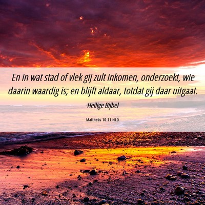 Picture 06 - Mattheüs 10:11 NLD - En in wat stad of vlek gij zult inkomen, - Bible Verse Picture