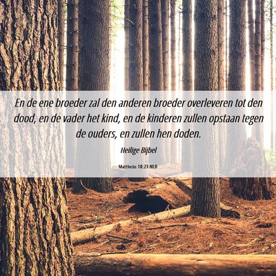 Picture 06 - Mattheüs 10:21 NLD - En de ene broeder zal den anderen broeder - Bible Verse Picture