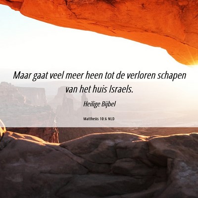Picture 06 - Mattheüs 10:6 NLD - Maar gaat veel meer heen tot de verloren schapen - Bible Verse Picture
