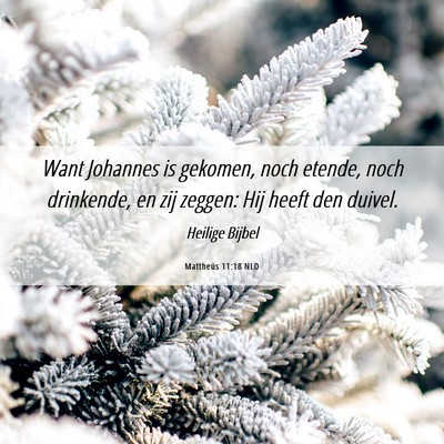 Picture 06 - Mattheüs 11:18 NLD - Want Johannes is gekomen, noch etende, noch - Bible Verse Picture