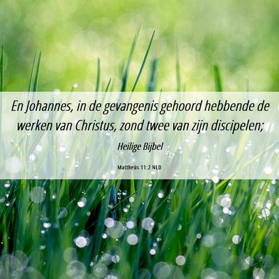 Picture 06 - Mattheüs 11:2 NLD - En Johannes, in de gevangenis gehoord hebbende de - Bible Verse Picture