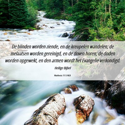 Picture 06 - Mattheüs 11:5 NLD - De blinden worden ziende, en de kreupelen - Bible Verse Picture