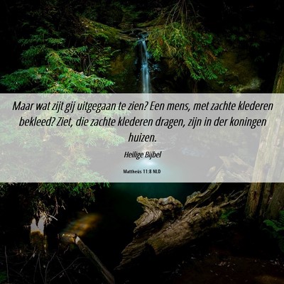 Picture 06 - Mattheüs 11:8 NLD - Maar wat zijt gij uitgegaan te zien? Een mens, - Bible Verse Picture