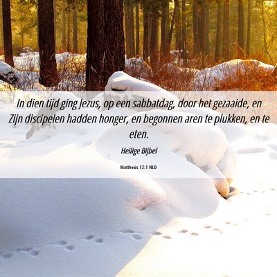 Picture 06 - Mattheüs 12:1 NLD - In dien tijd ging Jezus, op een sabbatdag, door - Bible Verse Picture