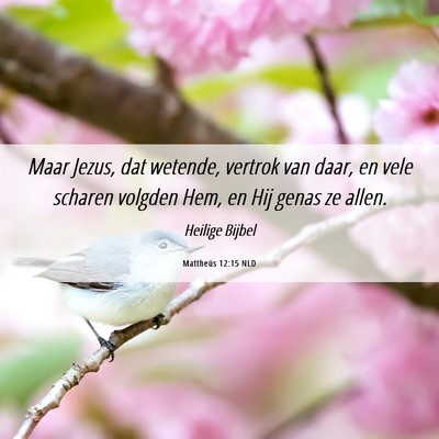 Picture 06 - Mattheüs 12:15 NLD - Maar Jezus, dat wetende, vertrok van daar, en - Bible Verse Picture