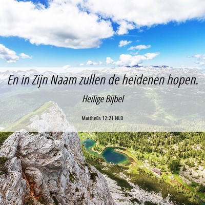 Picture 06 - Mattheüs 12:21 NLD - En in Zijn Naam zullen de heidenen - Bible Verse Picture