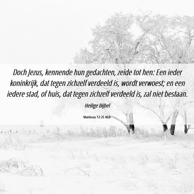 Picture 06 - Mattheüs 12:25 NLD - Doch Jezus, kennende hun gedachten, zeide tot - Bible Verse Picture