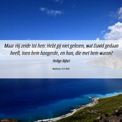 Picture 06 - Mattheüs 12:3 NLD - Maar Hij zeide tot hen: Hebt gij niet gelezen, - Bible Verse Picture