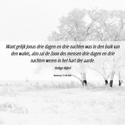 Picture 06 - Mattheüs 12:40 NLD - Want gelijk Jonas drie dagen en drie nachten was - Bible Verse Picture