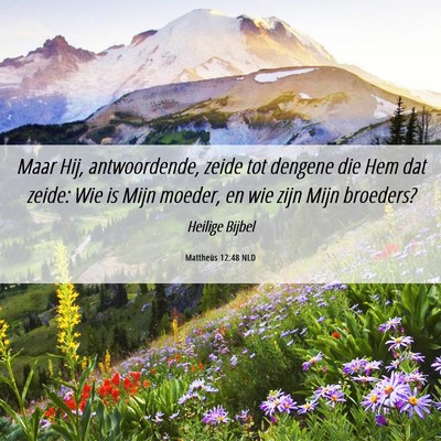 Picture 06 - Mattheüs 12:48 NLD - Maar Hij, antwoordende, zeide tot dengene die Hem - Bible Verse Picture