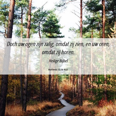 Picture 06 - Mattheüs 13:16 NLD - Doch uw ogen zijn zalig, omdat zij zien, en uw - Bible Verse Picture